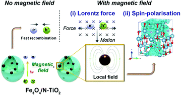 Graphical abstract: Local magnetic spin mismatch promoting photocatalytic overall water splitting with exceptional solar-to-hydrogen efficiency
