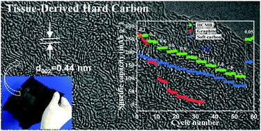 Graphical abstract: Tissue-derived carbon microbelt paper: a high-initial-coulombic-efficiency and low-discharge-platform K+-storage anode for 4.5 V hybrid capacitors