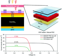 Graphical abstract: CNT-based bifacial perovskite solar cells toward highly efficient 4-terminal tandem photovoltaics