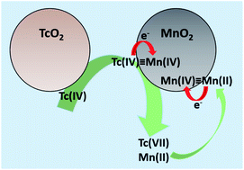 Graphical abstract: TcO2 oxidative dissolution by birnessite under anaerobic conditions: a solid–solid redox reaction impacting the environmental mobility of Tc-99