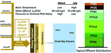 Graphical abstract: Distribution and fate of per- and polyfluoroalkyl substances (PFAS) in wastewater treatment facilities