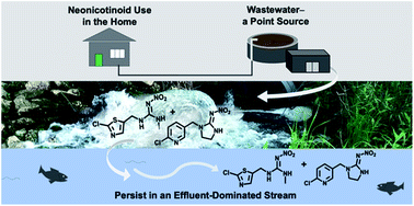 Graphical abstract: Emerging investigator series: municipal wastewater as a year-round point source of neonicotinoid insecticides that persist in an effluent-dominated stream