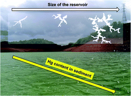 Graphical abstract: Insights into the factors influencing mercury concentrations in tropical reservoir sediments