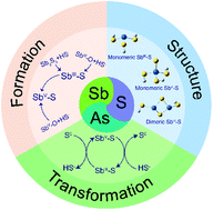 Graphical abstract: Environmental geochemistry of thioantimony: formation, structure and transformation as compared with thioarsenic