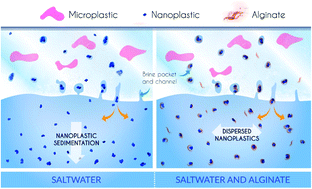 Graphical abstract: Micro- and nanoplastic transfer in freezing saltwater: implications for their fate in polar waters