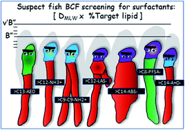 Graphical abstract: Screening the baseline fish bioconcentration factor of various types of surfactants using phospholipid binding data