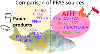 Graphical abstract: A review of PFAS fingerprints in fish from Norwegian freshwater bodies subject to different source inputs