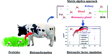Graphical abstract: Screening of pesticide distributions in foods of animal origin: a matrix-based approach for biotransfer factor modeling of grazing mammals