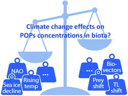 Graphical abstract: The influence of global climate change on accumulation and toxicity of persistent organic pollutants and chemicals of emerging concern in Arctic food webs