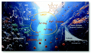 Graphical abstract: Molecular investigation of the multi-phase photochemistry of Fe(iii)–citrate in aqueous solution