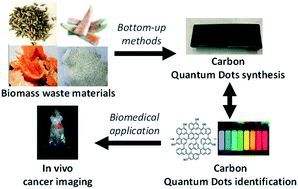 Graphical abstract: Critical overview on the green synthesis of carbon quantum dots and their application for cancer therapy