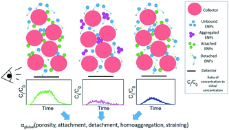 Graphical abstract: Effect of deposition, detachment and aggregation processes on nanoparticle transport in porous media using Monte Carlo simulations