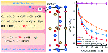 Graphical abstract: Insight into bicarbonate involved efficient heterogeneous Fenton-like degradation of sulfamethoxazole over a CuFeO2 based composite under alkaline conditions