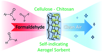 Graphical abstract: Self-indicating and high-capacity mesoporous aerogel-based biosorbent fabricated from cellulose and chitosan via co-dissolution and regeneration for removing formaldehyde from indoor air
