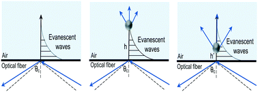 Graphical abstract: Evanescent wave interactions with nanoparticles on optical fiber modulate side emission of germicidal ultraviolet light