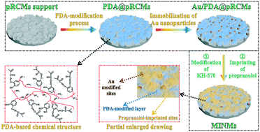 Graphical abstract: Multilevel/hierarchical nanocomposite-imprinted regenerated cellulose membranes for high-efficiency separation: a selective recognition method with Au/PDA-loaded surface
