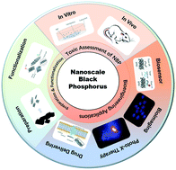 Graphical abstract: Bioengineering applications of black phosphorus and their toxicity assessment