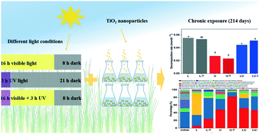 Graphical abstract: How do visible and UV light affect the structure and function of leaf-associated aquatic fungal communities polluted by TiO2 nanoparticles?