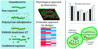 Graphical abstract: Understanding nanoplastic toxicity and their interaction with engineered cationic nanopolymers in microalgae by physiological and proteomic approaches