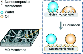 Graphical abstract: Development of robust and superamphiphobic membranes using reduced graphene oxide (rGO)/PVDF-HFP nanocomposite mats for membrane distillation