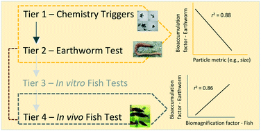 Graphical abstract: The bioaccumulation testing strategy for manufactured nanomaterials: physico-chemical triggers and read across from earthworms in a meta-analysis