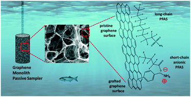 Graphical abstract: A graphene-based hydrogel monolith with tailored surface chemistry for PFAS passive sampling