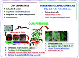 Graphical abstract: Nano-based soil conditioners eradicate micronutrient deficiency: soil physicochemical properties and plant molecular responses
