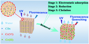 Graphical abstract: Fluorescent wood sponge toward selective detection and efficient removal of Cr(vi)