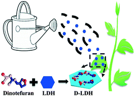 Graphical abstract: Dinotefuran nano-pesticide with enhanced valid duration and controlled release properties based on a layered double hydroxide nano-carrier