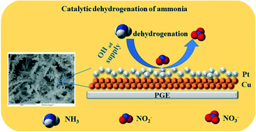 Graphical abstract: Dual performing copper–platinum core–shell nanozyme for environmental electrochemistry–electrocatalytic oxidation and electroanalysis of ammonia