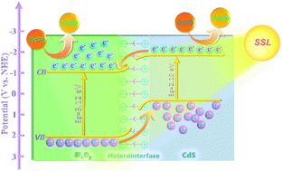 Graphical abstract: Fast Cr(vi) wastewater remediation on a BixOy/CdS heterostructure under simulated solar light induction