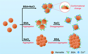 Graphical abstract: Reversing the order of changes in environmental conditions alters the aggregation behavior of hematite nanoparticles