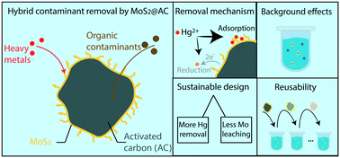 Graphical abstract: Emerging investigator series: Molybdenum disulfide-enabled activated carbon - a multifunctional adsorbent for practical water treatment applications