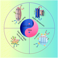 Graphical abstract: A critical review on surface-modified nano-catalyst application for the photocatalytic degradation of volatile organic compounds