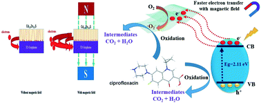 Graphical abstract: Highly efficient photocatalytic degradation of the emerging pollutant ciprofloxacin via the rational design of a magnetic interfacial junction of mangosteen peel waste-derived 3D graphene hybrid material