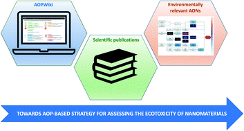 Graphical abstract: Using AOP-Wiki to support the ecotoxicological risk assessment of nanomaterials: first steps in the development of novel adverse outcome pathways