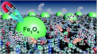 Graphical abstract: Preparation of magnetic covalent triazine frameworks by ball milling for efficient removal of PFOS and PFOA substitutes from water