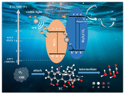 Graphical abstract: Bi2O2CO3/Bi2O3 Z-scheme photocatalyst with oxygen vacancies and Bi for enhanced visible-light photocatalytic degradation of tetracycline