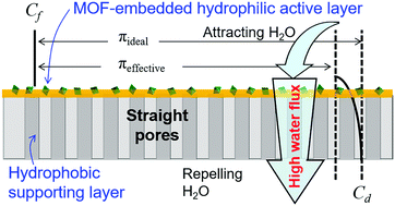 Graphical abstract: Enhancing water permeability with super-hydrophilic metal–organic frameworks and hydrophobic straight pores