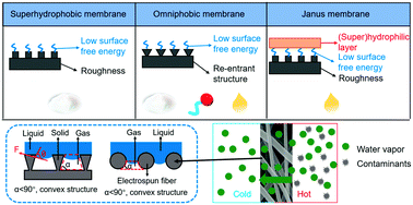 Graphical abstract: Recent advances in membrane distillation using electrospun membranes: advantages, challenges, and outlook