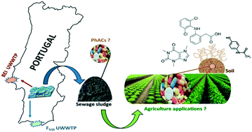 Graphical abstract: Occurrence of pharmaceutical active compounds in sewage sludge from two urban wastewater treatment plants and their potential behaviour in agricultural soils