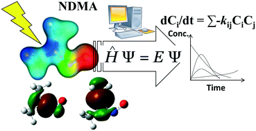 Graphical abstract: Elementary reaction-based kinetic model for the fate of N-nitrosodimethylamine under UV oxidation