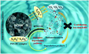 Graphical abstract: Electron transfer mechanism of peroxydisulfate activation by sewage sludge-derived biochar for enhanced degradation of sulfamethoxazole