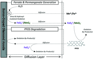 Graphical abstract: Degradation of perfluorooctane sulfonate via in situ electro-generated ferrate and permanganate oxidants in NOM-rich source waters