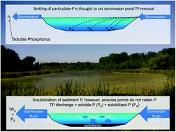 Graphical abstract: Phosphorus solubilization in stormwater ponds: rapid field assessment to identify ponds with excessive total phosphorus concentrations
