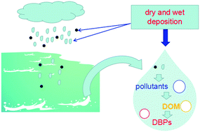 Graphical abstract: Influence of atmospheric deposition on surface water quality and DBP formation potential as well as control technology of rainwater DBPs: a review