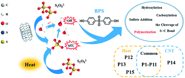 Graphical abstract: Experimental and quantum chemical study on the transformation behavior of bisphenol S by radical-driven persulfate oxidation