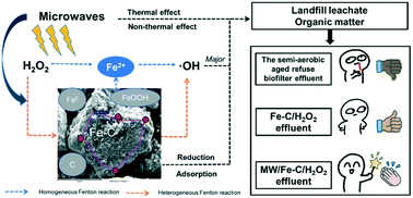 Graphical abstract: Microwave-enhanced iron–carbon-activated hydrogen peroxide process for the advanced treatment of semi-aerobic aged refuse biofilter effluent