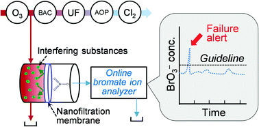 Graphical abstract: Online monitoring of bromate in treated wastewater: implications for potable water reuse