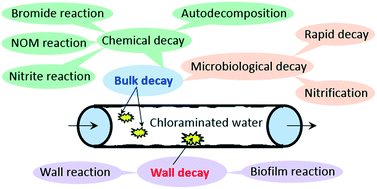 Graphical abstract: Review of chloramine decay models in drinking water system